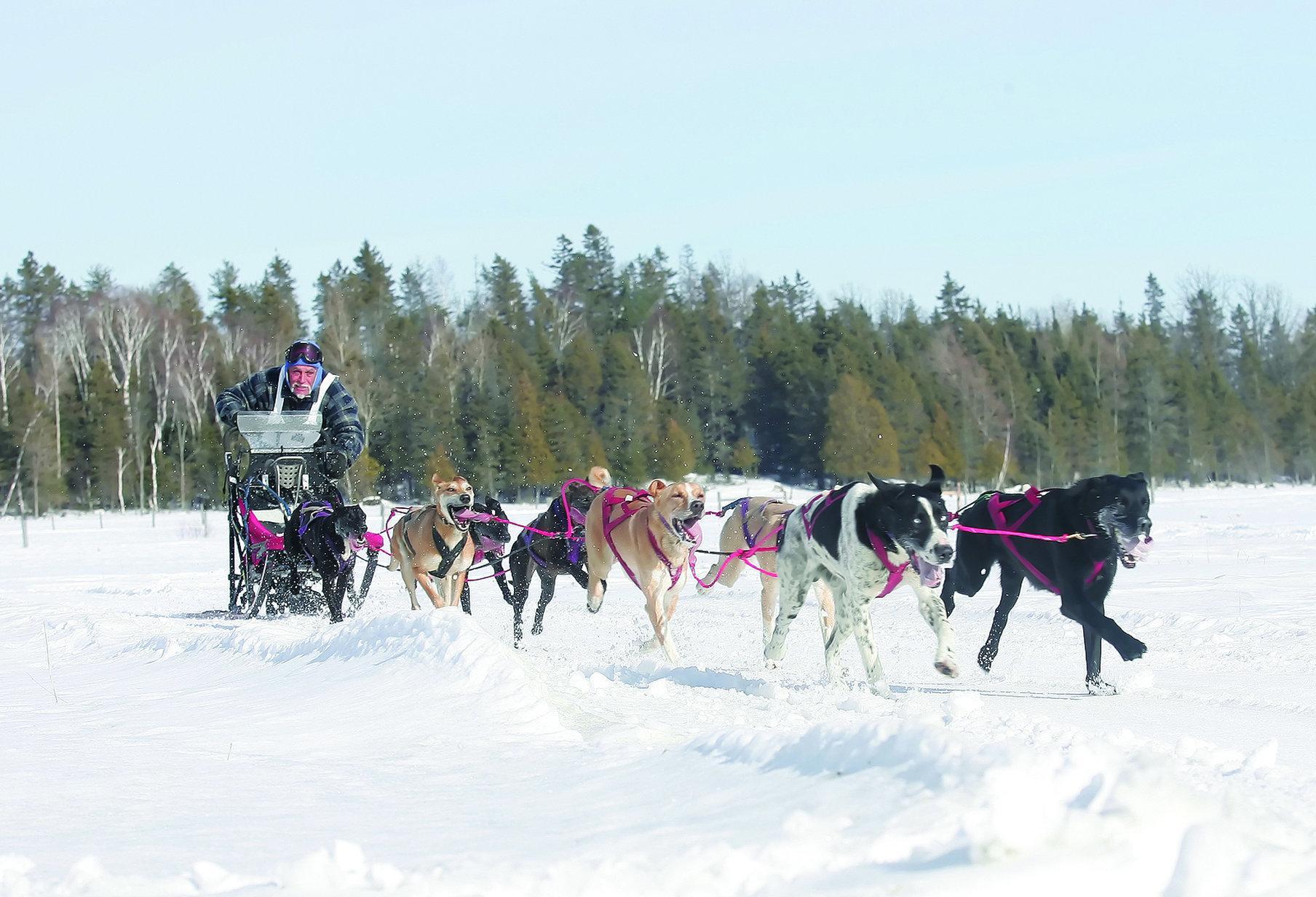 Holiday Inn Express And Suites Timmins By Ihg Kültér fotó
